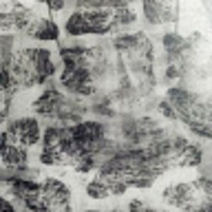 Meet your Posher, Unoproblemo